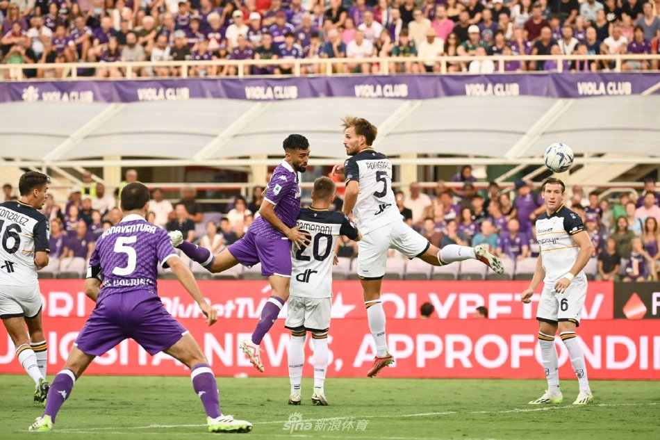 球爱好者的 球爱好者的