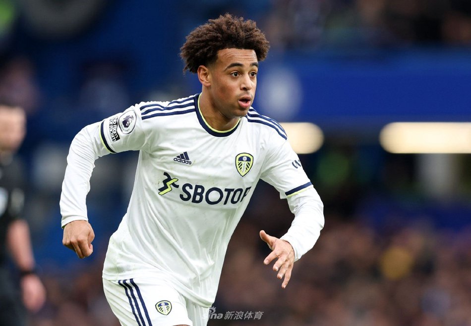 从沙特媒体 从沙特媒体